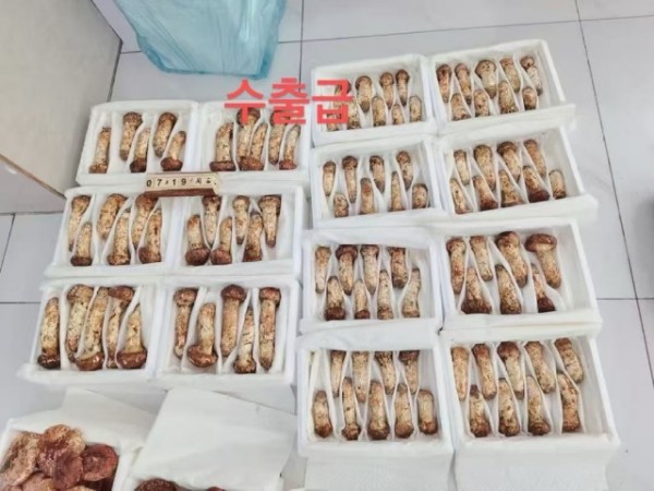 微信图片_20250716115214.jpg